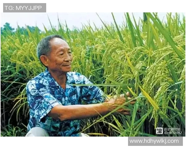 黄军的网球人生深度对话探索他的奋斗与梦想之路